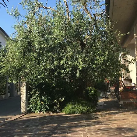 بيت للعطل Celeste's House *